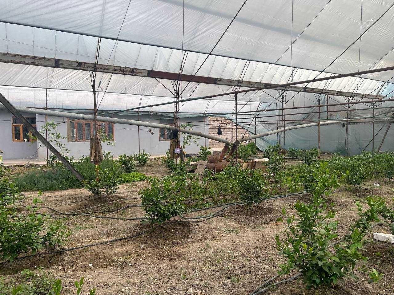 FOOD CITY и Катта Куйлик бозори ёнида махаллада уй сотилади, срочный