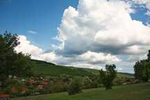 парцел от 4 дка в село Пряпорец