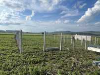 Gradina 200 mp pt legume de inchiriat