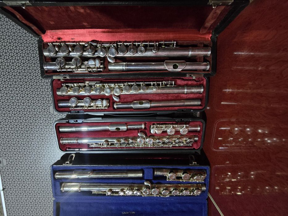 Flaute aduse din străinătate 1.100 lei buc