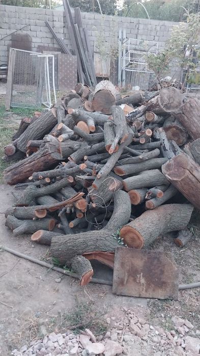 Oʻtin sotiladi! Chirchiqda