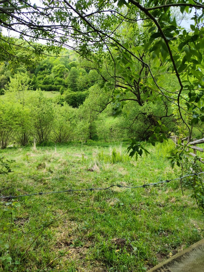 Vând teren de casă în Ocoliș-Lunca Largă