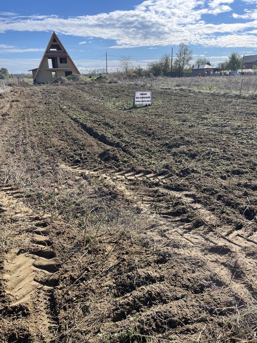 Teren intravilan Darasti Ilfov