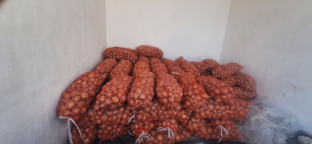 Optom piyoz sotiladi