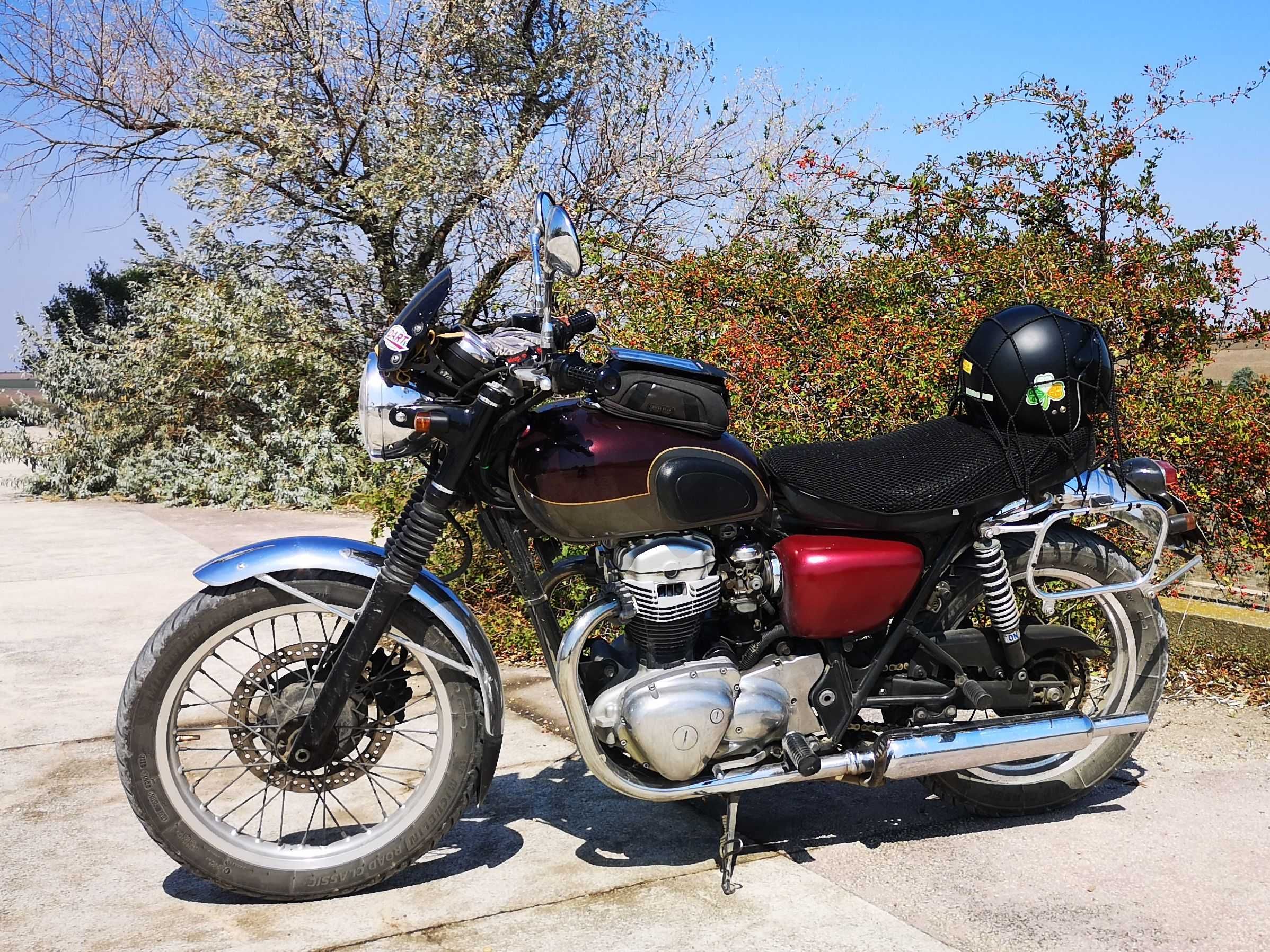 Kawasaki W650 2005