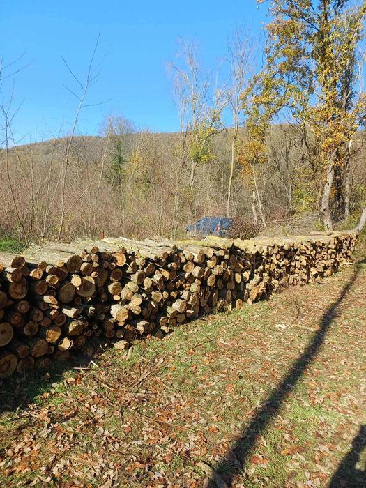 Lemn de foc salcam stejar .frasin si tei in jud Tulcea si Constanta