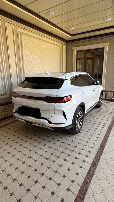 BYD Chempion Gibrid Full  2025