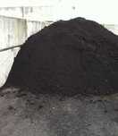 Pamant negru vegetal
