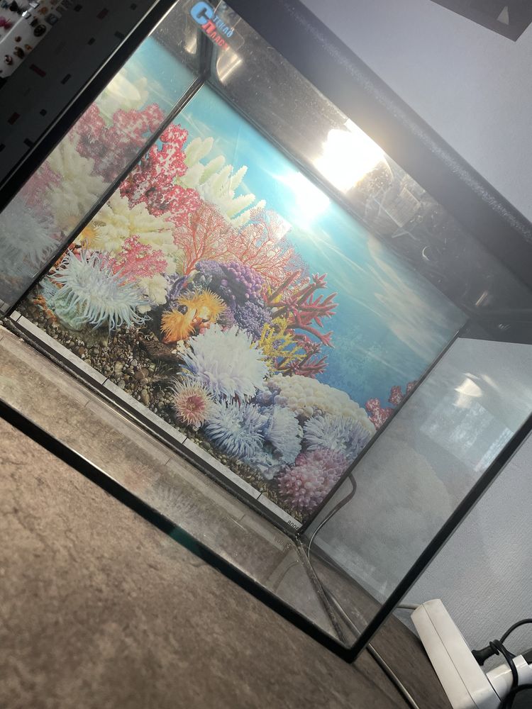 Продам аквариум в идеальном состоянии 24л
