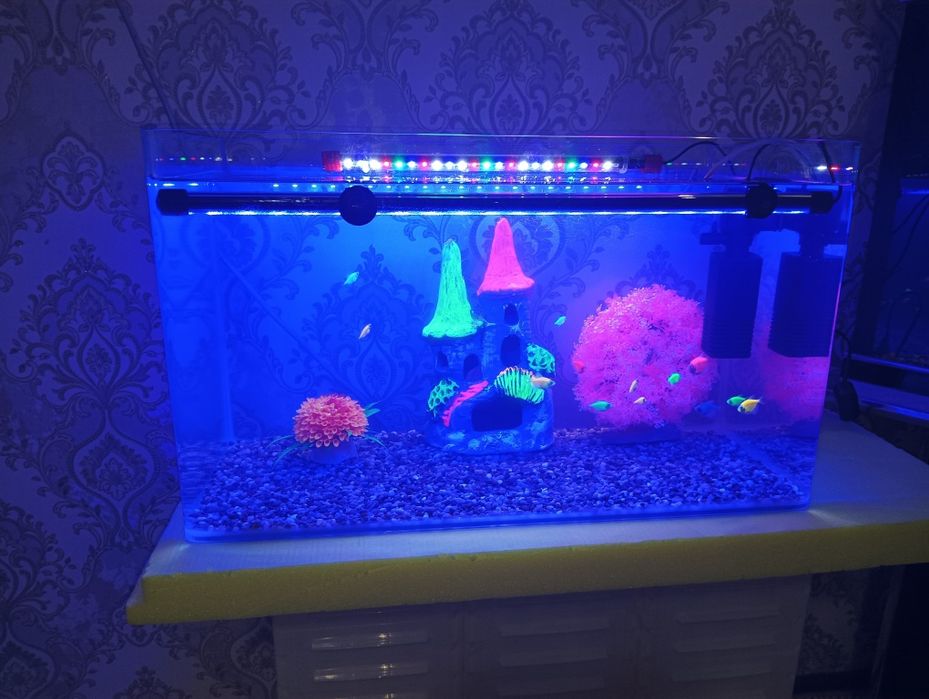 Хитой аквариум 60 литр комплект