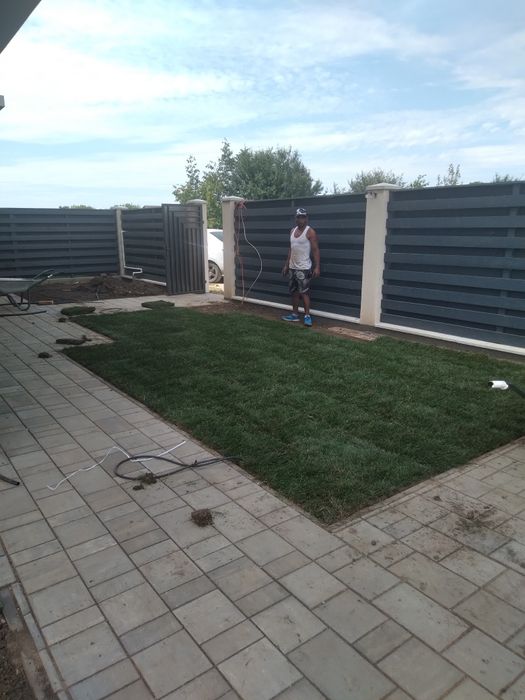 Plante ornamentale gazon sistem de irigat-gazon