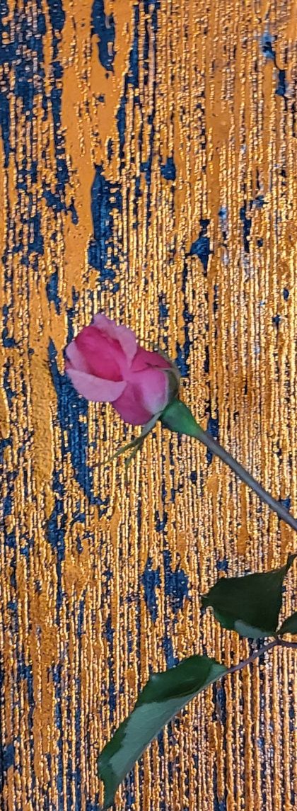 execut Decorative.