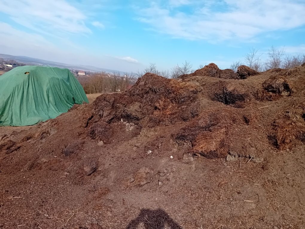 Vând  sau schimb gunoi cu cereale