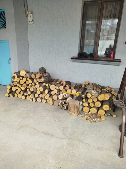 Продаются фруктовые деревья