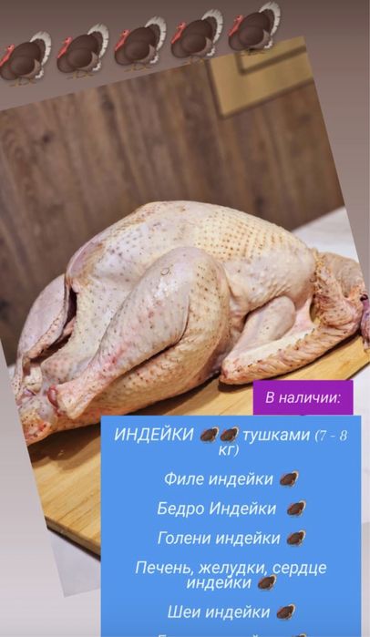 Продам мясо индейки, гуся, утки, перепелы, Цыплята табака