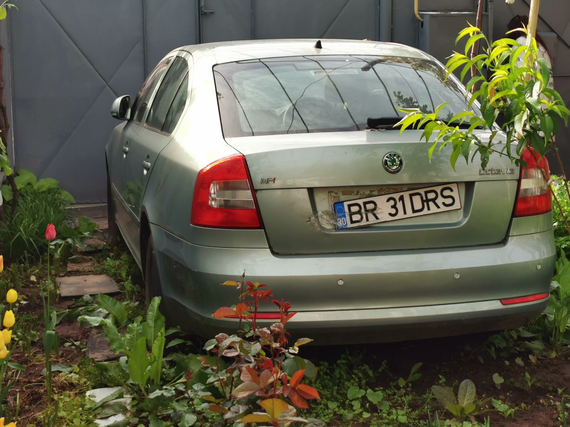 Skoda octavia 2011