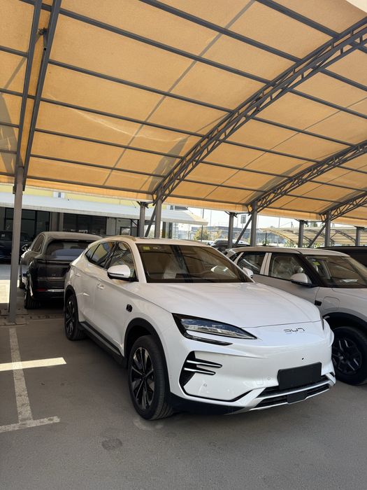 byd chempion smart live 2025 yil
