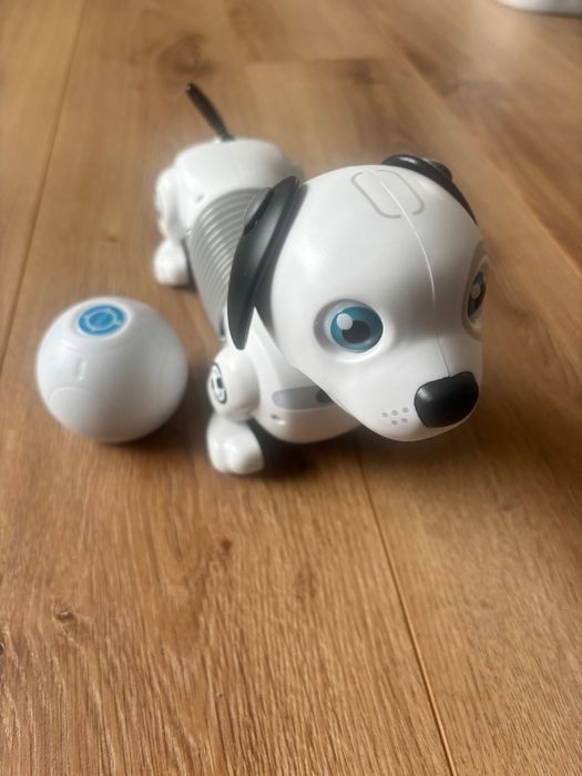 Робо куче с топка