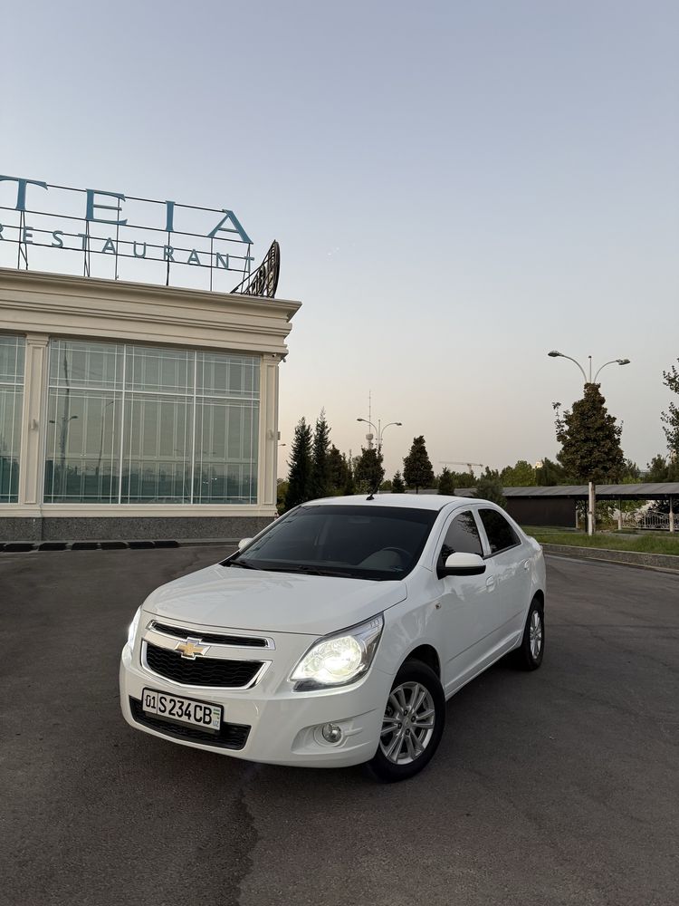 Cobalt 2022 gaz bor