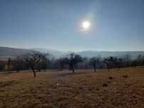 Teren intravilan de vanzare - Suprafata mare