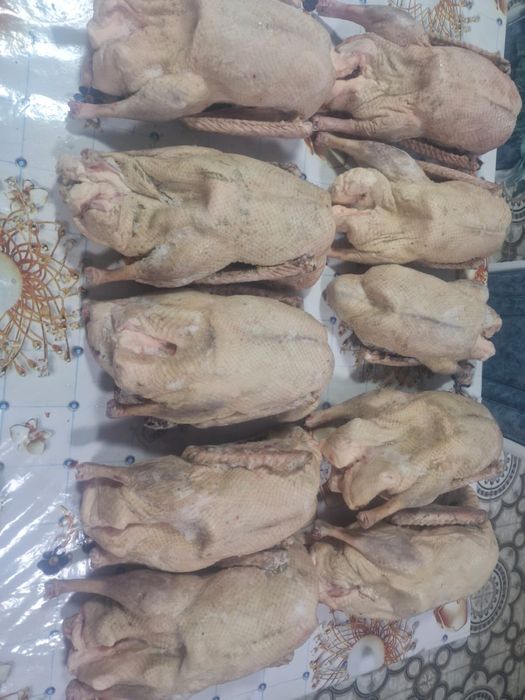 Готовые Тушки Гуся