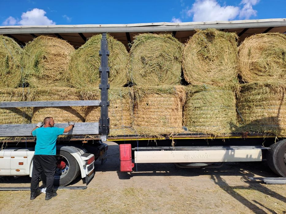 Baloti:Lucerna.Trifoi.Fan.Lolium.Rotunzi min 40.Drept.500.Trans.inclus