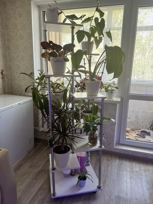 Продается подставка для цветов