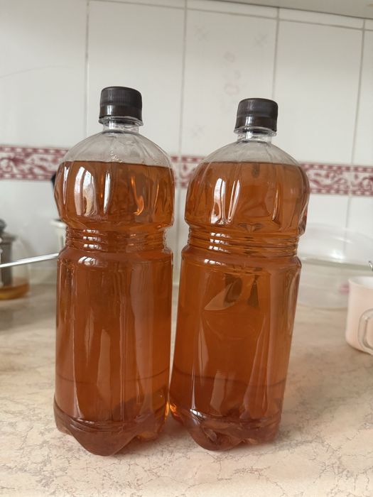 Мед катон карагай