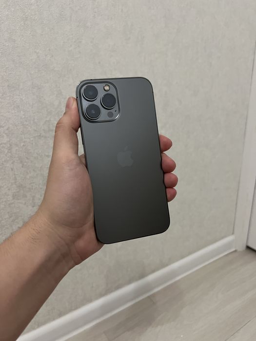 iphone 13 pro max dual sim