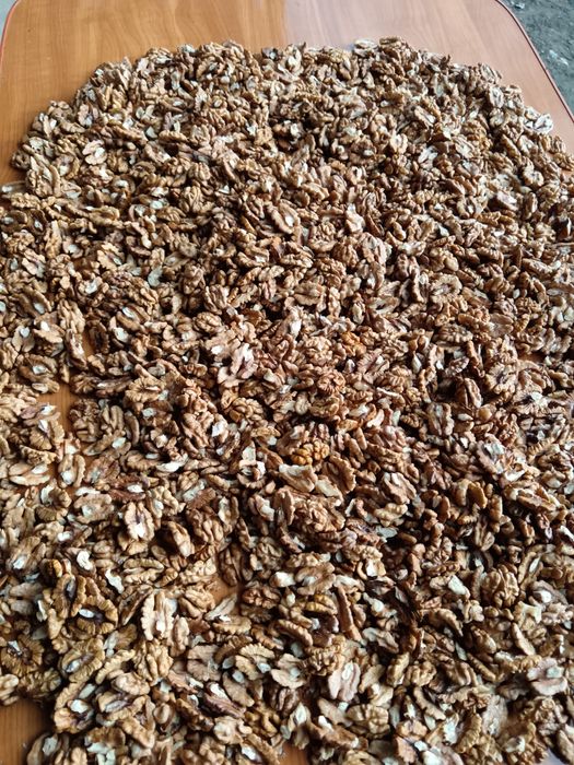 Miez nuca și nuci în coaja