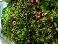 Фито стена озеленение искусственное цветы, суний гулар декор