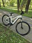 bicicleta electrica Riese Muller 29 inch