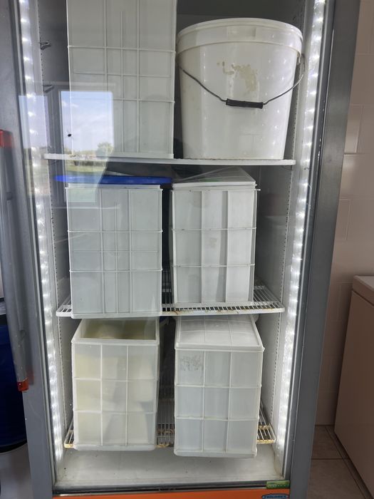 Branza telemea de vaca