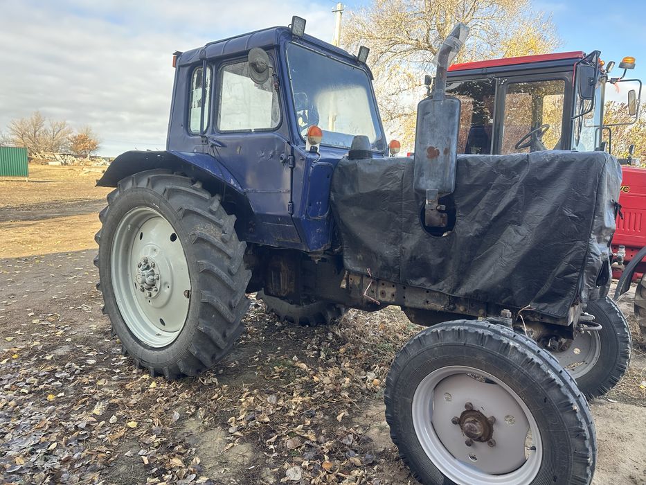 Продам мтз-80 или обмен на крс