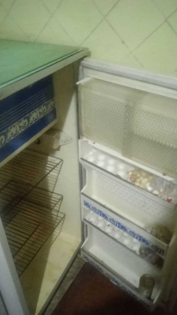 Холодильник и Морозильник Минск 12е и Минск 17