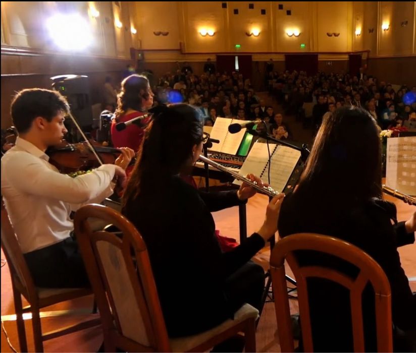 Meditatii Chitară/Vioară-Lecții pentru începători și intermediari