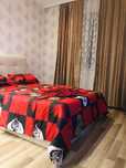 Regim hotelier sectorul 4