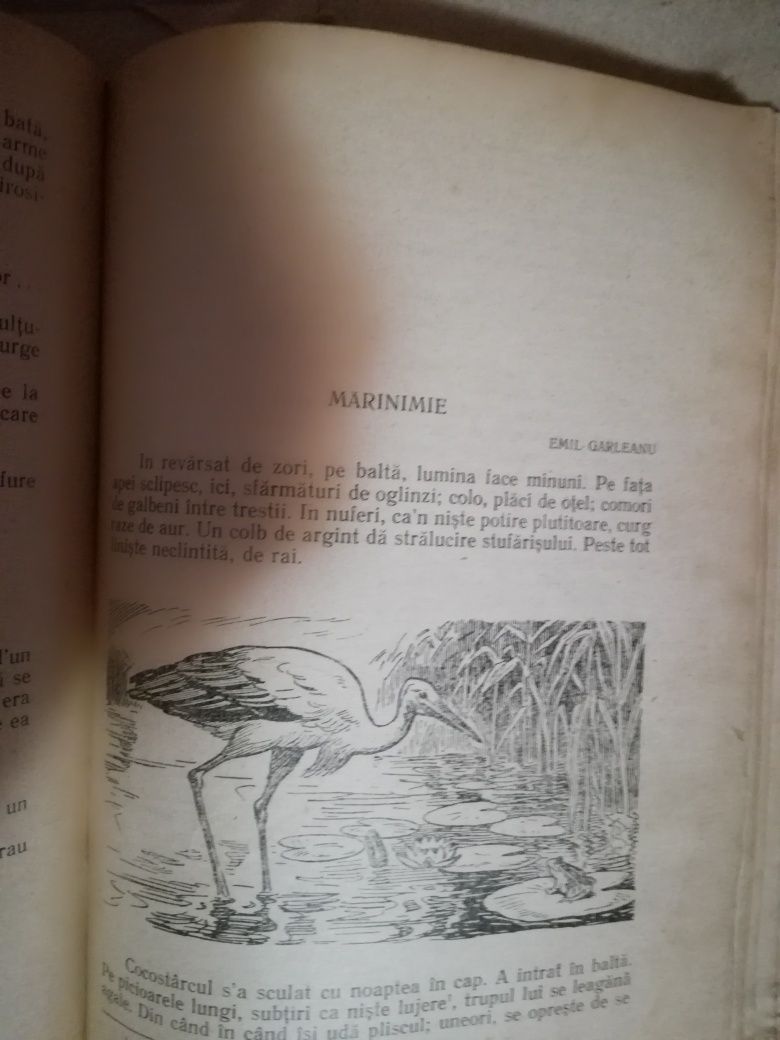 Manuale școlare vechi