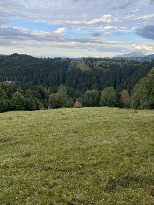 Teren Bran Simon Balaban