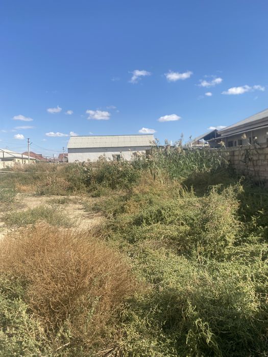 Шоп бар алатындар барма