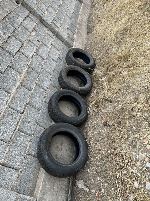 Шины Triangle 185/65/15 ...