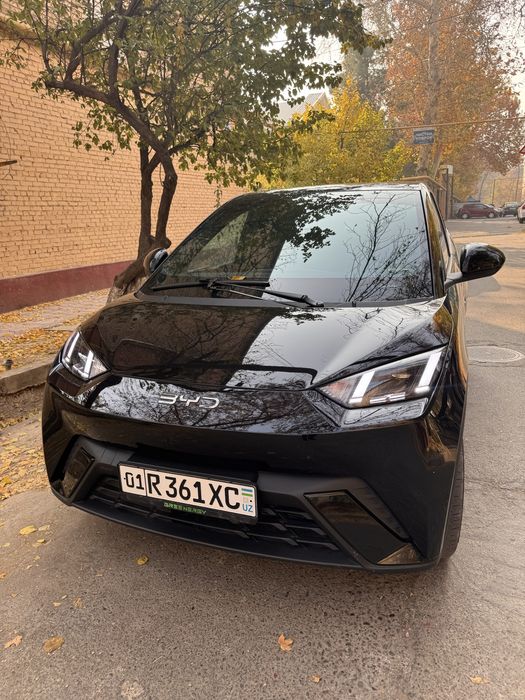 Byd seagull 2024 probeg 15.000