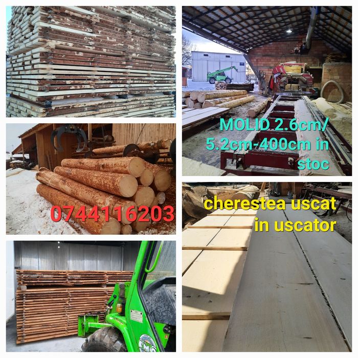 Cherestea molid uscat in uscator sau verde