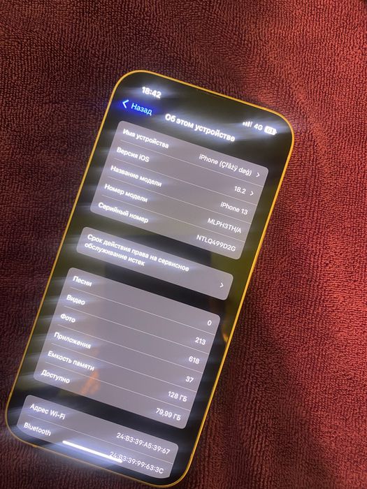 iPhone 13 обычный