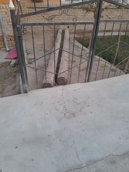 Oğoch bollor sotiladi urganchda