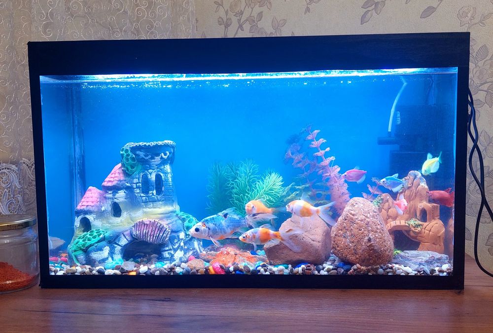 Akvarium sotiladi 40 litr