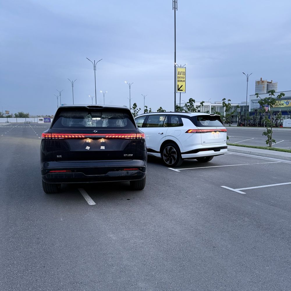 Dongfeng EP 008 Nalichi