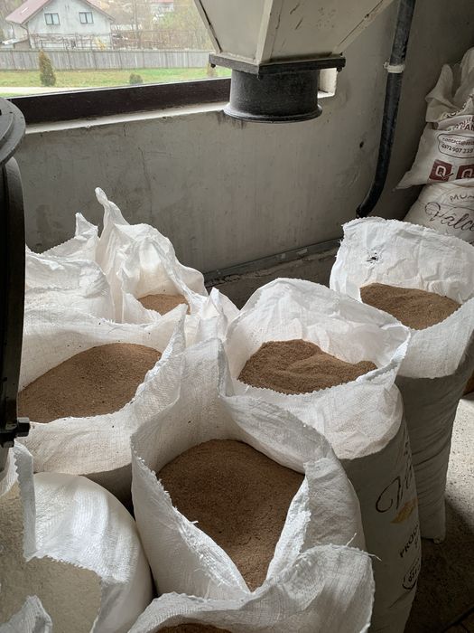 Vând tărâțe de grâu