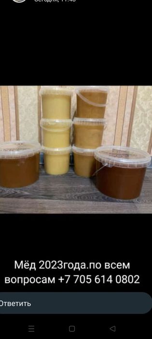 Продам мёд 3000 тенге за 1 кг