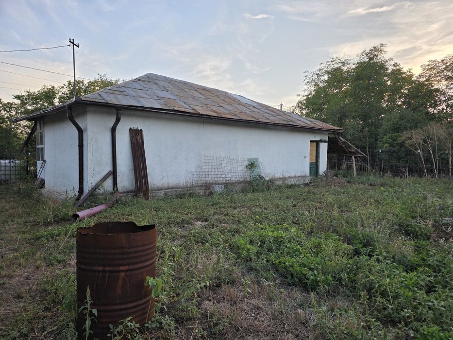 Casa de vanzare Naipu